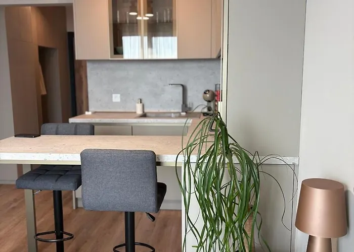 Daire студио феникс